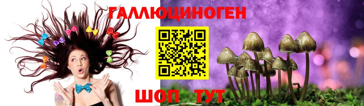 Галлюциногенные грибы мухоморы  Вход с VPN  дарнет шоп  Тверь  Псилоцибиновые грибы мицелий 